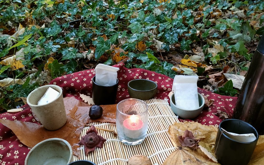 Shinrin Yoku d’Automne