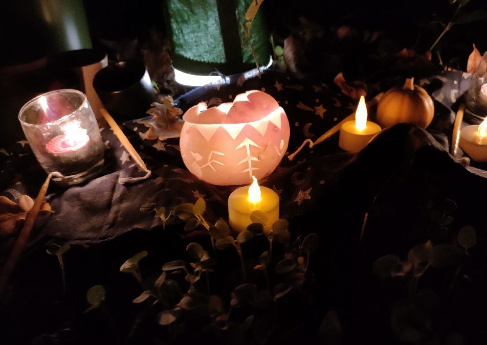 Retour sur les séances d’Automne